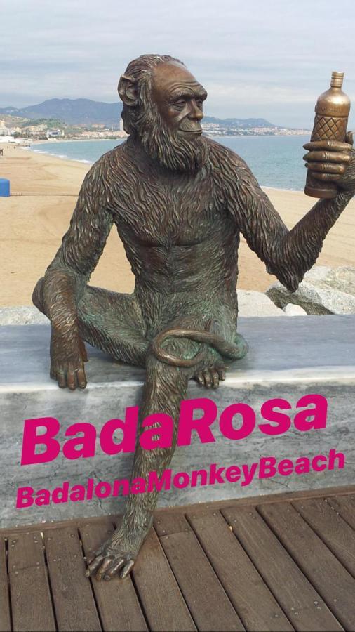 Badarosa 2 House10Min To Barceloncity&Nearto Beach バダロナ エクステリア 写真