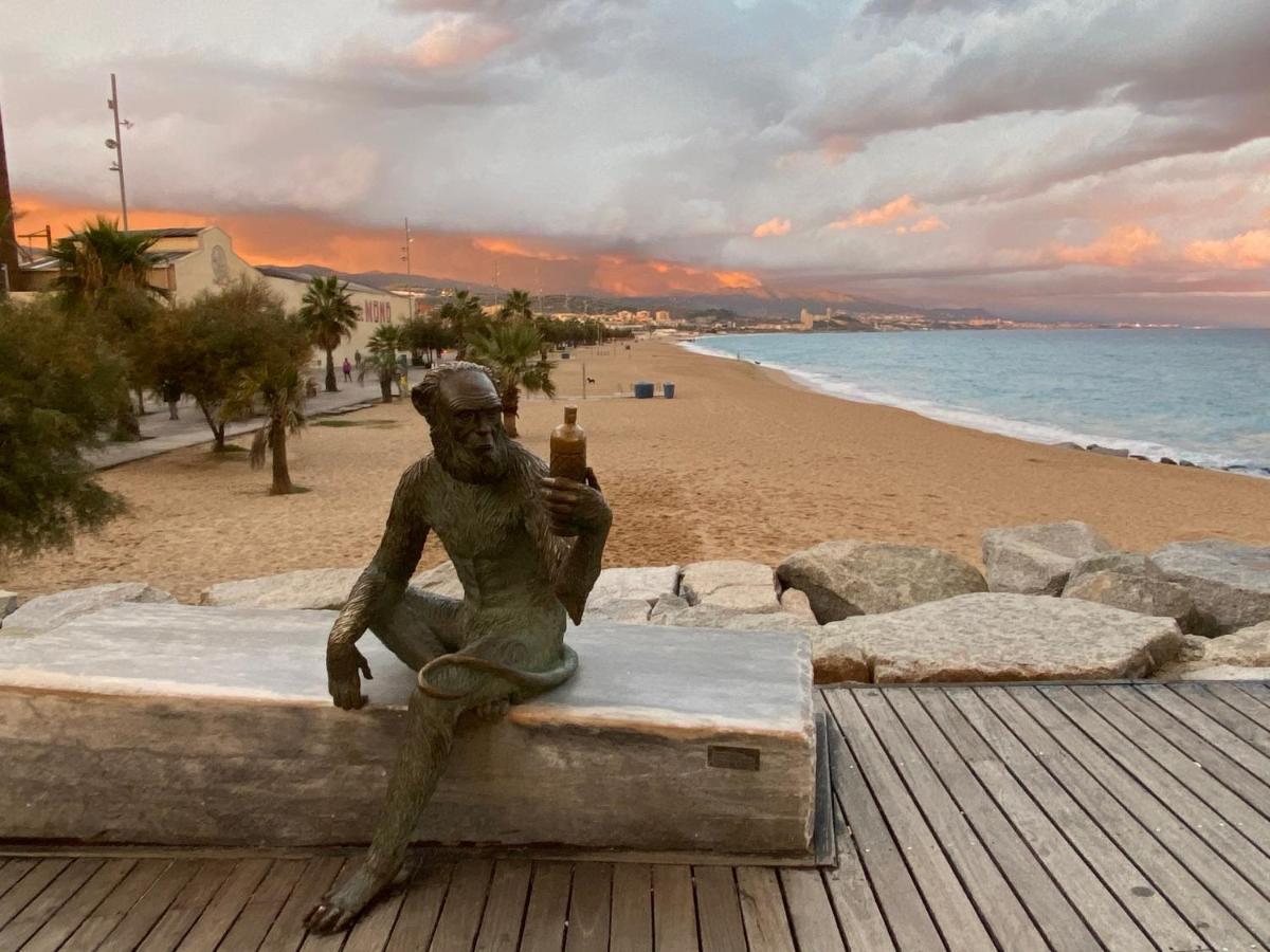 Badarosa 2 House10Min To Barceloncity&Nearto Beach バダロナ エクステリア 写真
